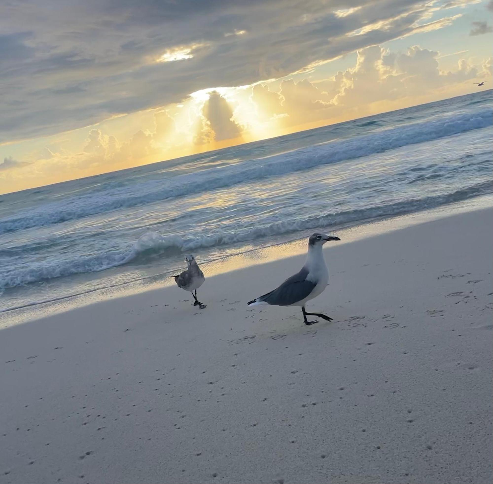 Suite Brisas Cancún Exteriér fotografie